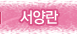 서양란